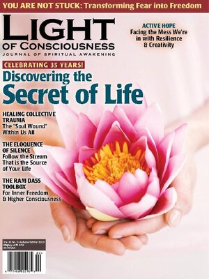 cover image of Light of Consciousness 